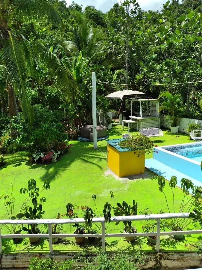 Guest house Caldo Tours Hotel Ewarton