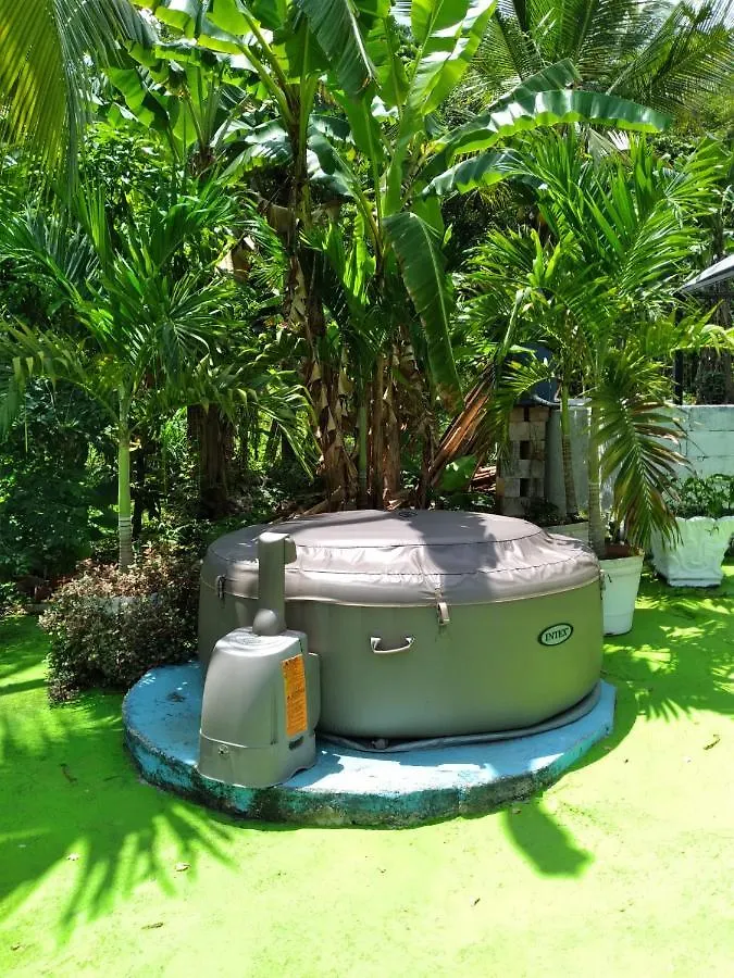Guest house Caldo Tours Hotel Ewarton