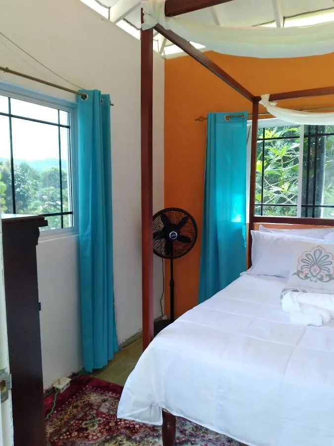 Caldo Tours Hotel Ewarton Jamaica